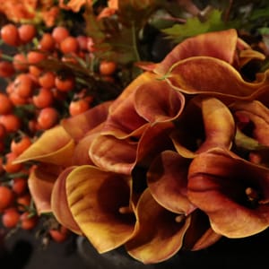 light brown flowers